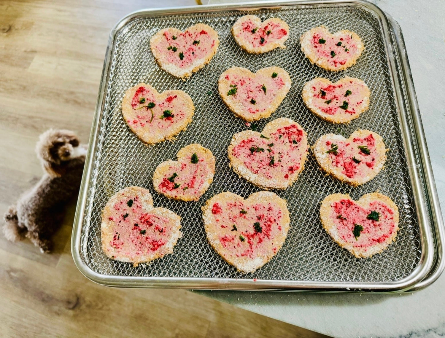 Chef's Creative Creations