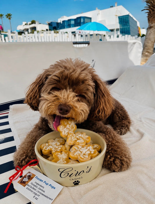 FROZEN PUP POP