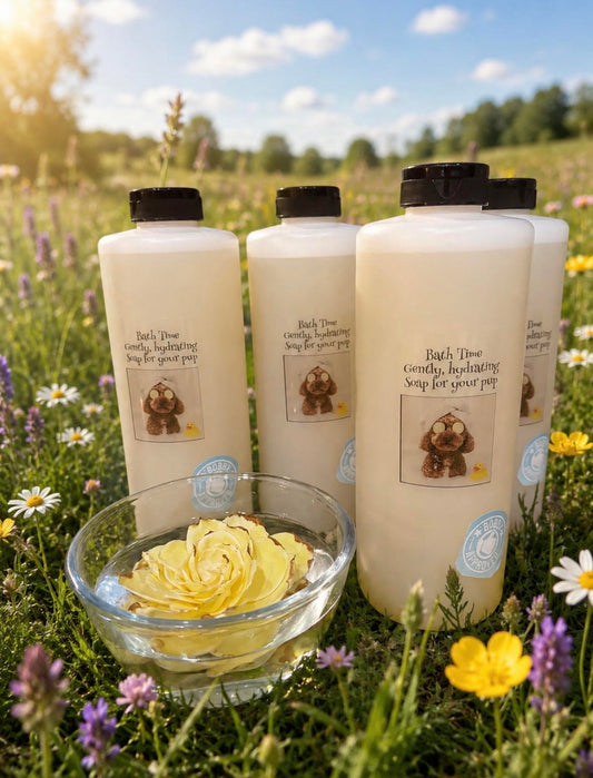 REFILLABLE DOG SHAMPOO